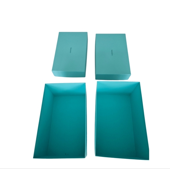 Tiffany & Co. Tiffany Blue Luxury Shopping Bags & Two Empty Boxes - Picture 7 of 8